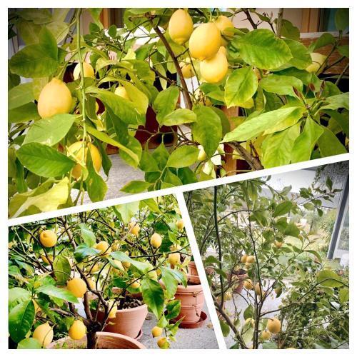 Relais Le Betulle Hotel Conegliano Luaran gambar